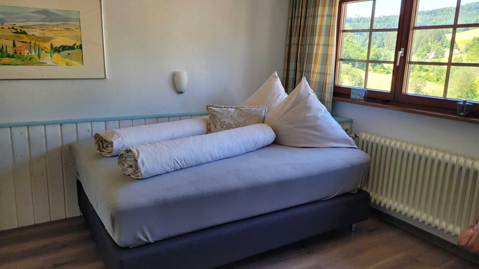 Comfort-Einzelzimmer, Talblick | Zimmersafe, Schreibtisch, kostenloses WLAN, Bettwäsche