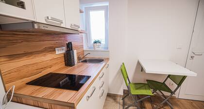 Apartment Malerič with Pool and Wellness