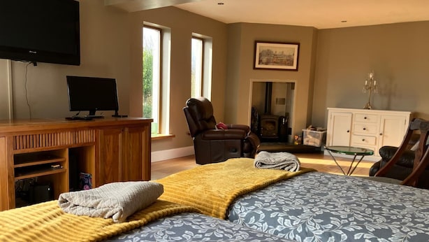 Een slaapkamer met een bed, een bureau, een stoel, een open haard en een televisie.