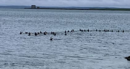 Room-accomodation in House