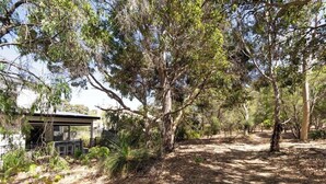 Un espace extérieur aménagé avec des arbres, une structure abritée et un sentier de terre.