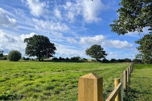 Nicht klassifiziertes Bild, 5 von 9, Schaltfläche