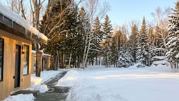 A wooden building with a snow-covered pathway leading to it, surrounded by trees.