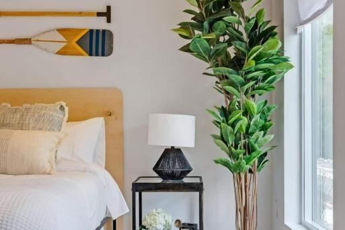 Un dormitorio con cama, mesita de noche, lámpara y una planta verde alta.