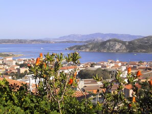 Immagine non classificata, 2 di 20, pulsante