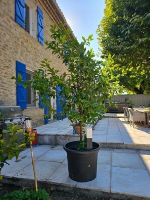 Terrace/patio - Mas Provençal à flanc de colline (Bollène)