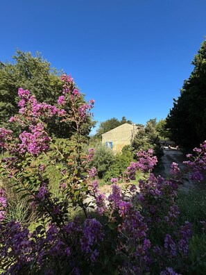 Property grounds - Mas Provençal à flanc de colline (Bollène)