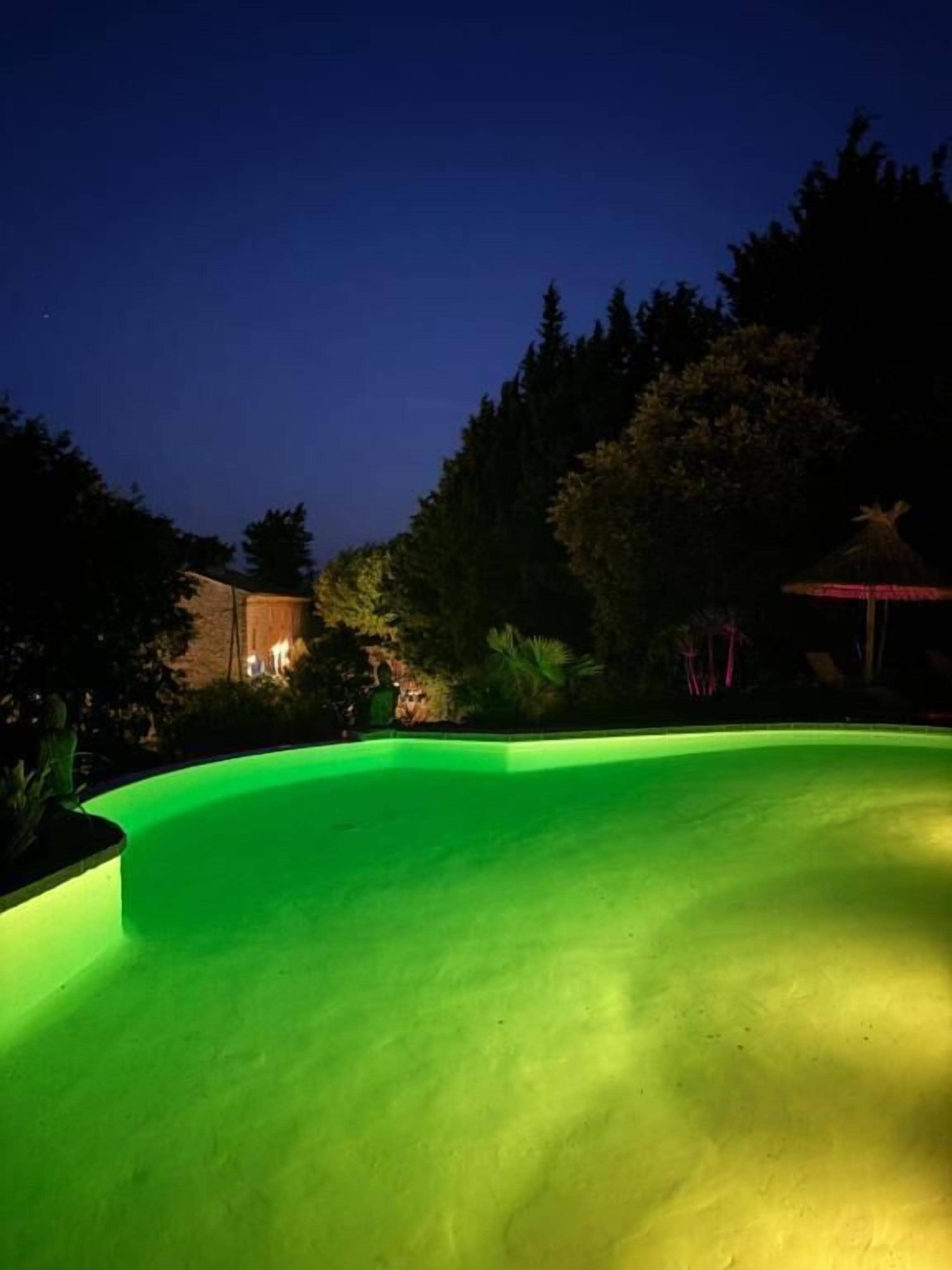 A swimming pool with a curved edge and a green-lit interior.