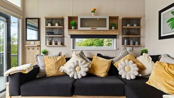 TV, fireplace
