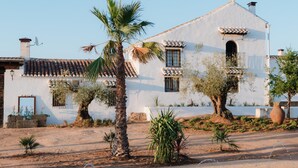 A white building with a tiled roof, a palm tree, and a small garden. - SANGHA SPACE. Entire Property, 13 Bedrooms. (Mora)
