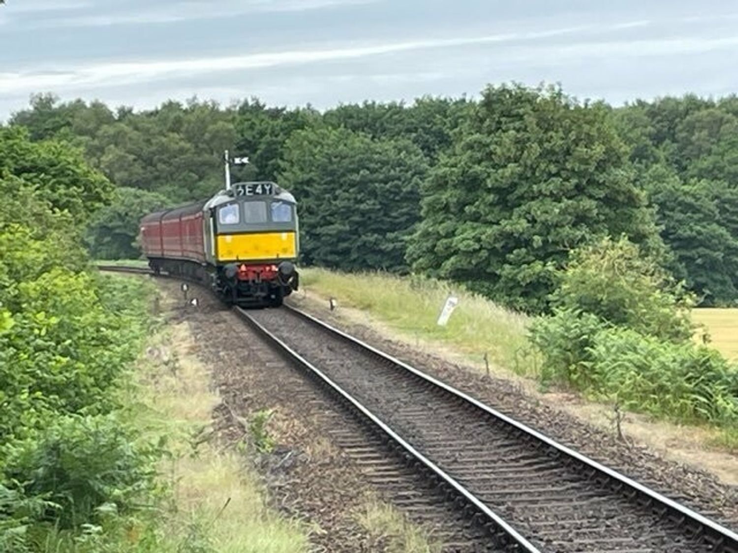 Un train circule sur une voie ferrée bordée de part et d’autre par une végétation luxuriante.