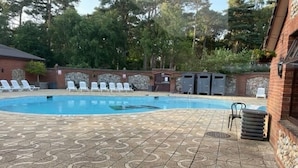 A swimming pool with a patterned tile floor, surrounded by lounge chairs and a brick wall. - Living The Dream (Holt)