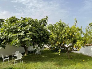 Unclassified image, 3 of 41, button - Villa Nuragica - Deluxe Apartment (Nuraxi Figus)