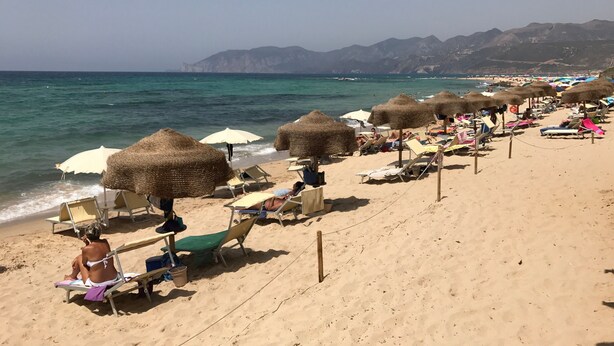 Ein Strand mit Reihen von Liegestühlen und Reetdachschirmen, einem klaren Himmel und Bergen im Hintergrund.