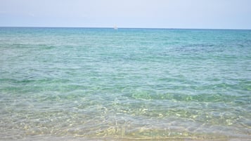 Ranta