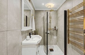 Shower, hair dryer, towels