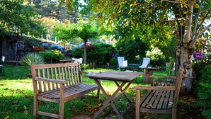 Juego de banco y mesa de madera en un jardín con césped y árboles.