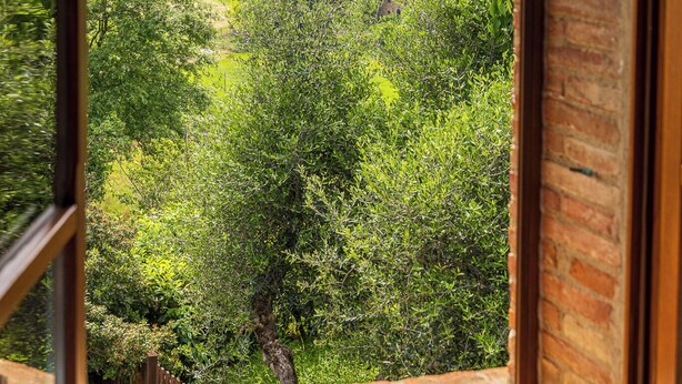 A room with a large window overlooking a lush green landscape with hills. - CASA VECCIANO essence of Tuscany (Toscana)