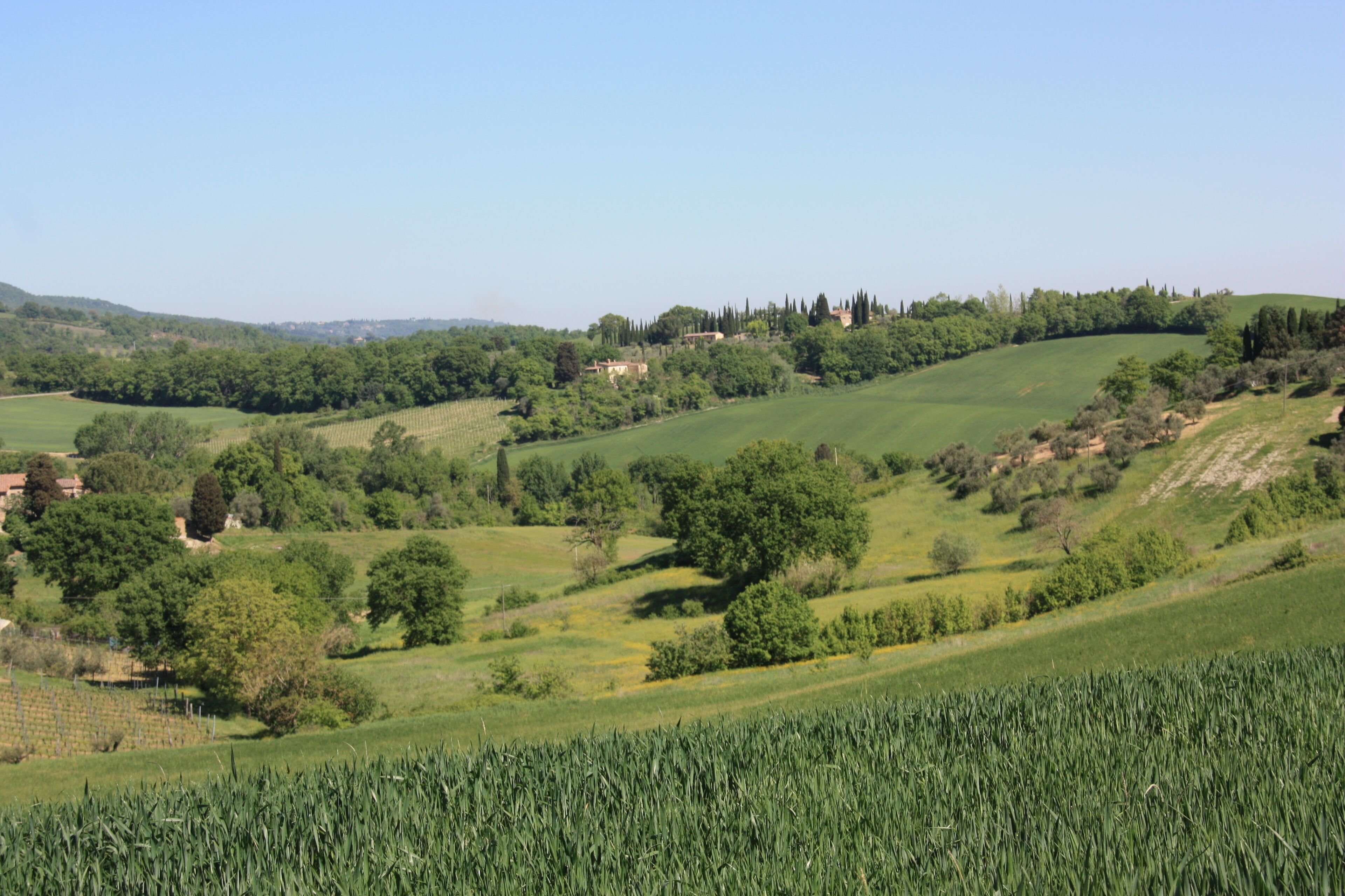 A rural landscape with rolling hills, fields, and scattered trees.