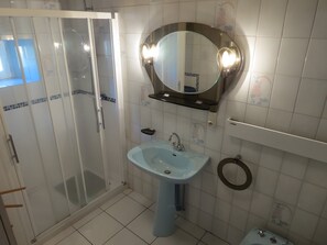 Shower, hair dryer - Beautiful Cottage in the Heart of Auvergne (Chassignolles)
