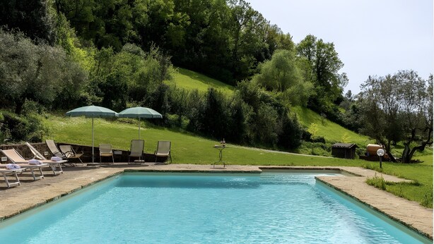 Ein rechteckiger Swimmingpool mit glasklar blauem Wasser, umgeben von einer Betonplattform. Auf der Plattform stehen Liegestühle und zwei grüne Sonnenschirme. Im Hintergrund erheben sich üppige grüne Bäume und ein grasbewachsener Hügel.