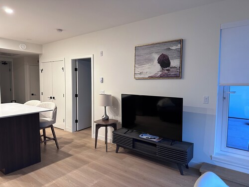 Brand new condo in heart of Willoughby Town Centre Langley BC
