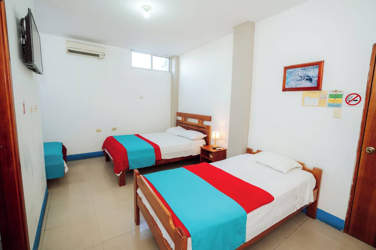 A room with two single beds, a TV, a window, and a door.