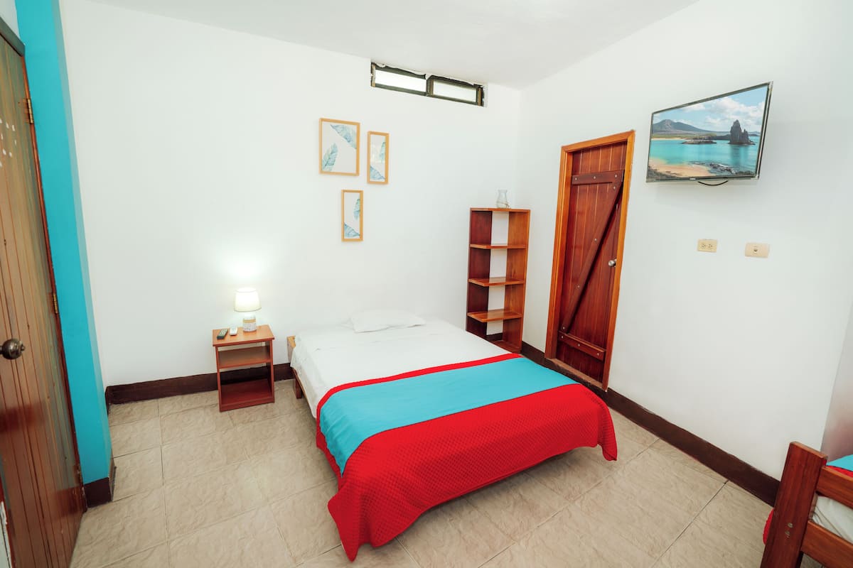A bedroom with a bed, a nightstand, a shelf, a television, and a door.
