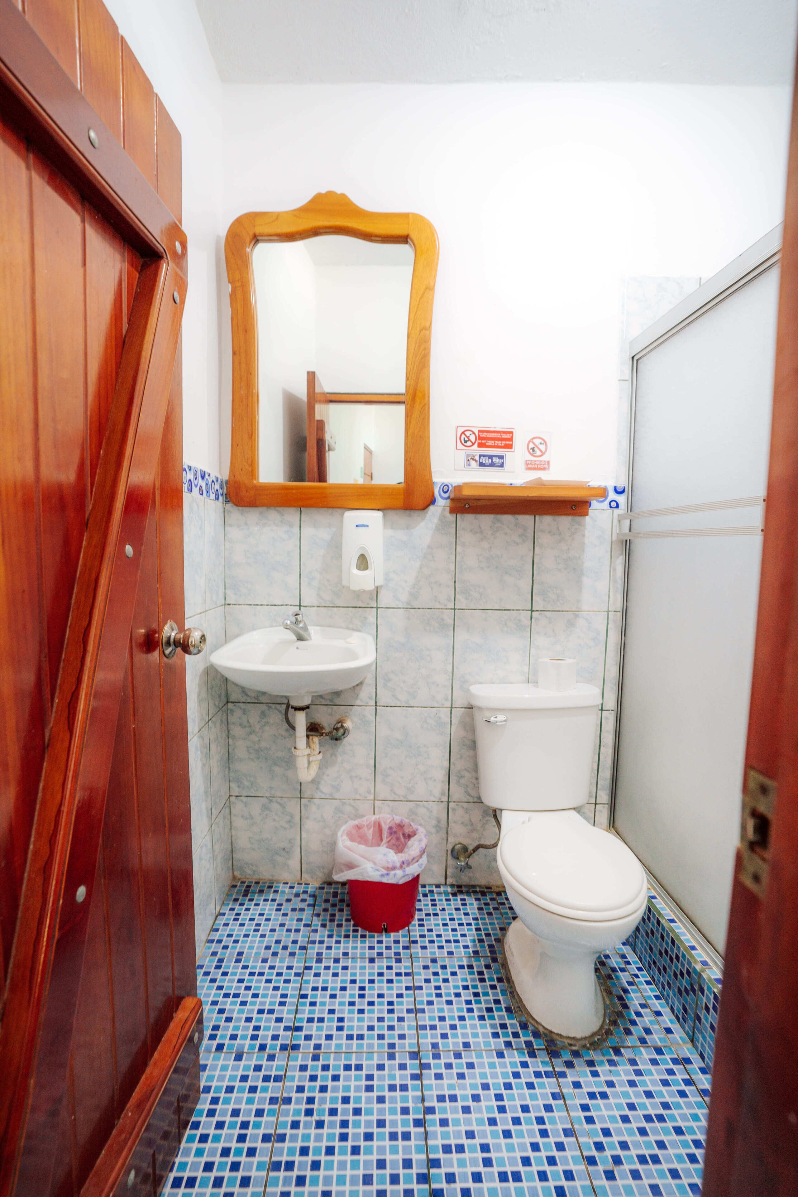 Standaard kamer | Badkamer | Een douche, handdoeken, zeep, shampoo