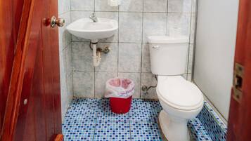 Standaard kamer | Badkamer | Een douche, handdoeken, zeep, shampoo
