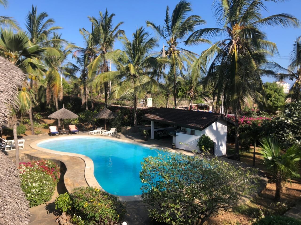 Piscina cercada por palmeiras e um pequeno edifício com telhado de palha.