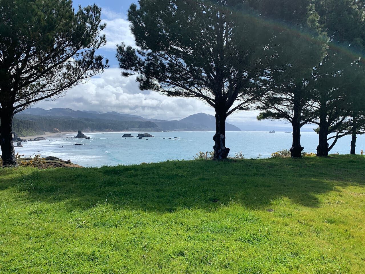A grassy area with trees and a view of the ocean and distant mountains.