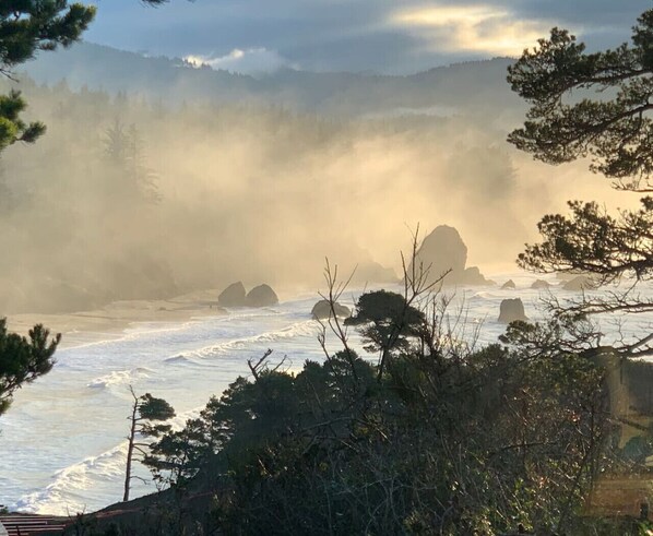 Paisaje costero con vista al mar, afloramientos rocosos y una zona boscosa.