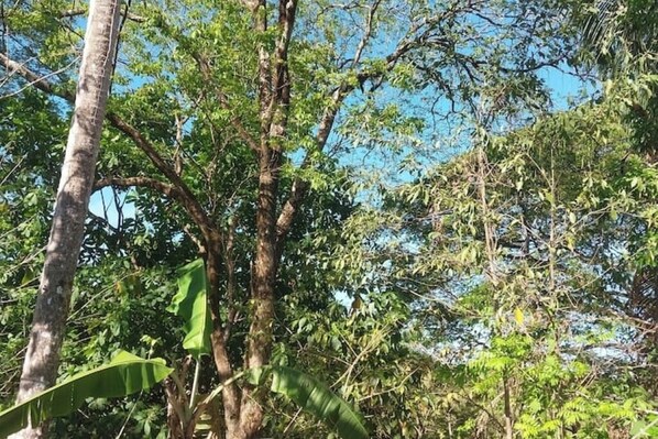 Photo non classée, 1 sur 9, bouton