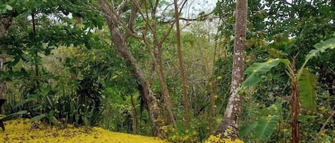 Terrain de l’hébergement