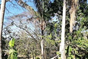 Photo non classée, 3 sur 11, bouton