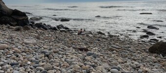 Simple, Clean & Close to the Shore – Narragansett's Ocean Breeze Getaway