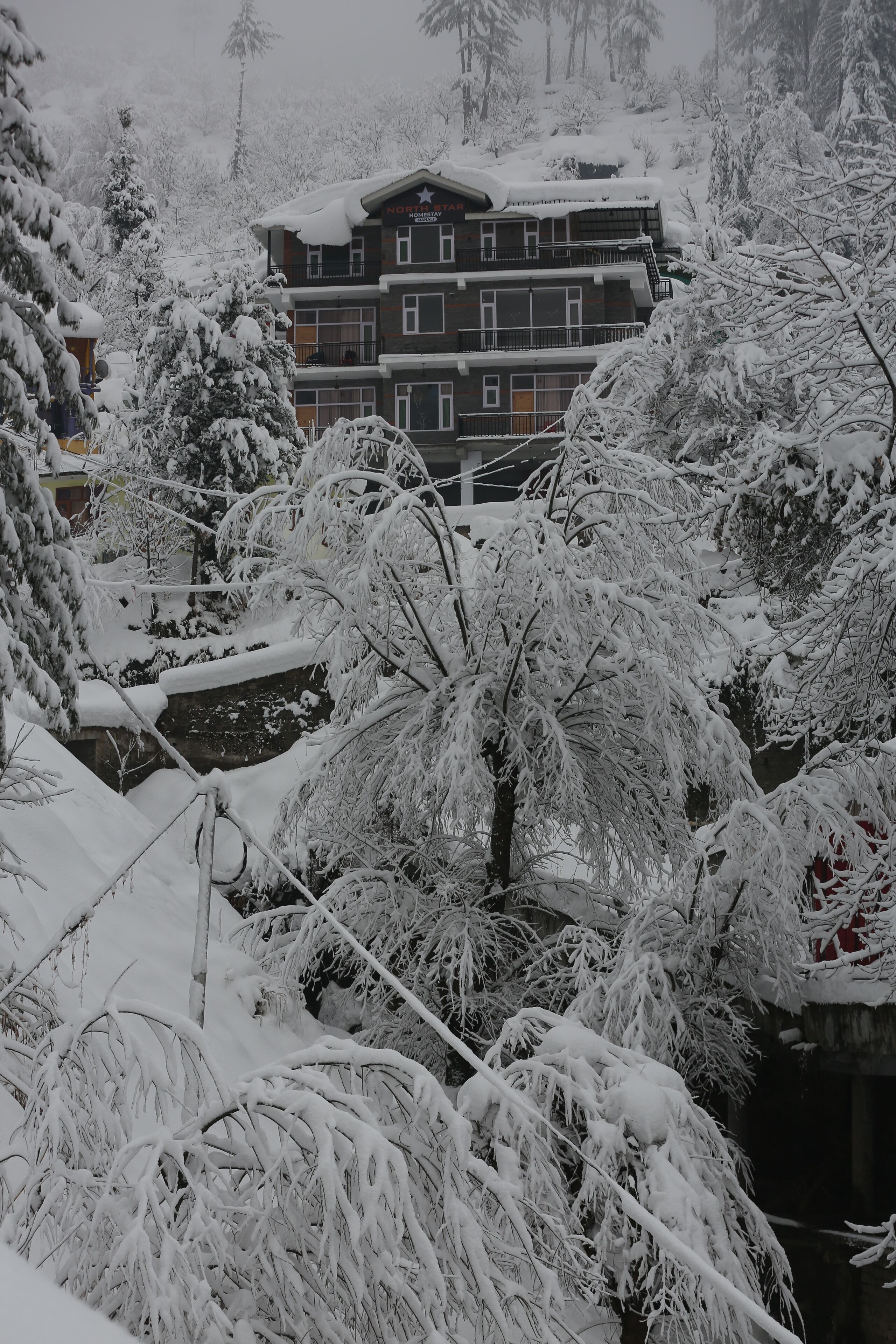 A multi-story building with snow-covered trees in the foreground.