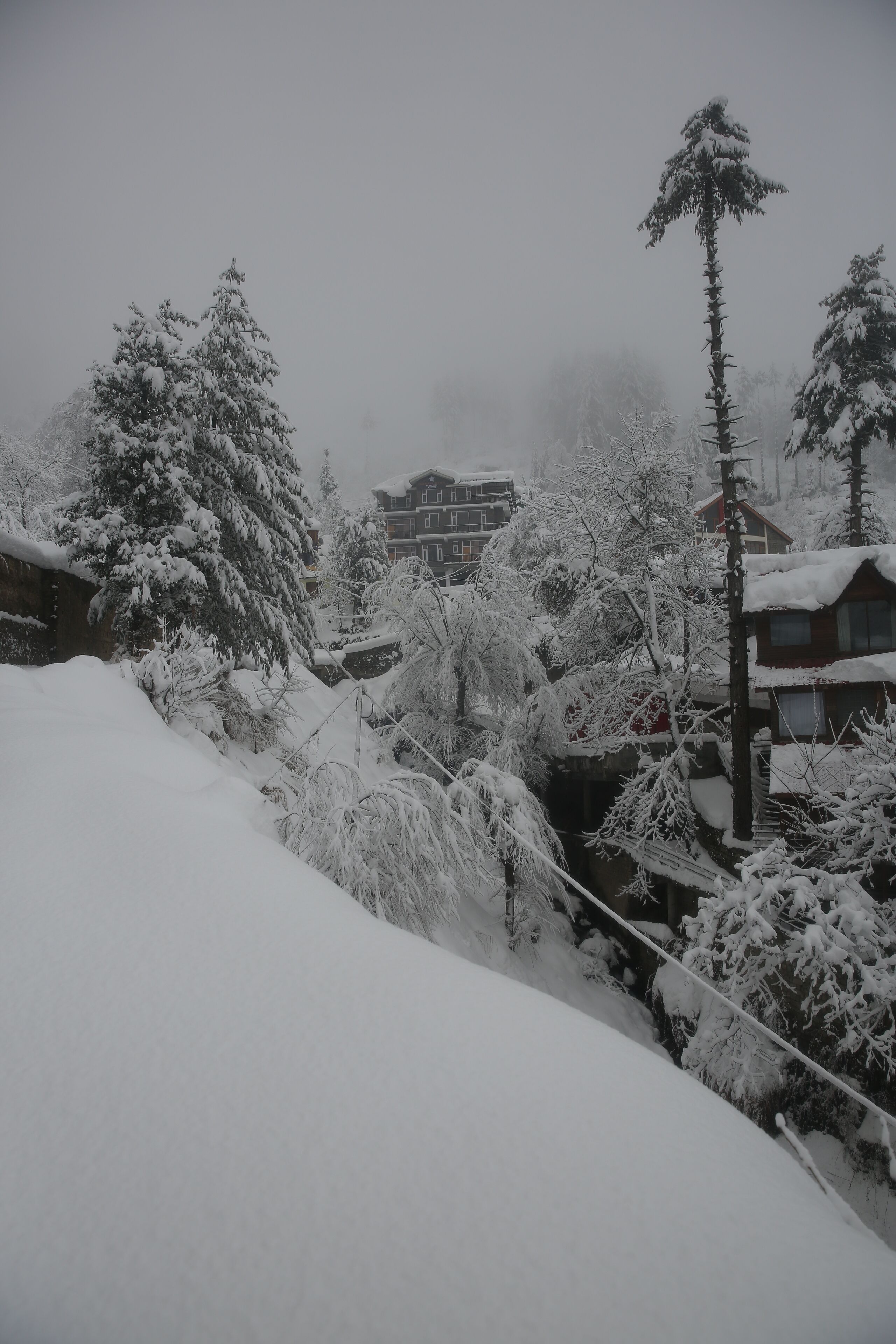 Deluxe Single Room, Mountain View | Property grounds