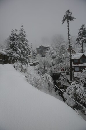 Deluxe Single Room, Mountain View | Property grounds - North Star Manali (Manali)