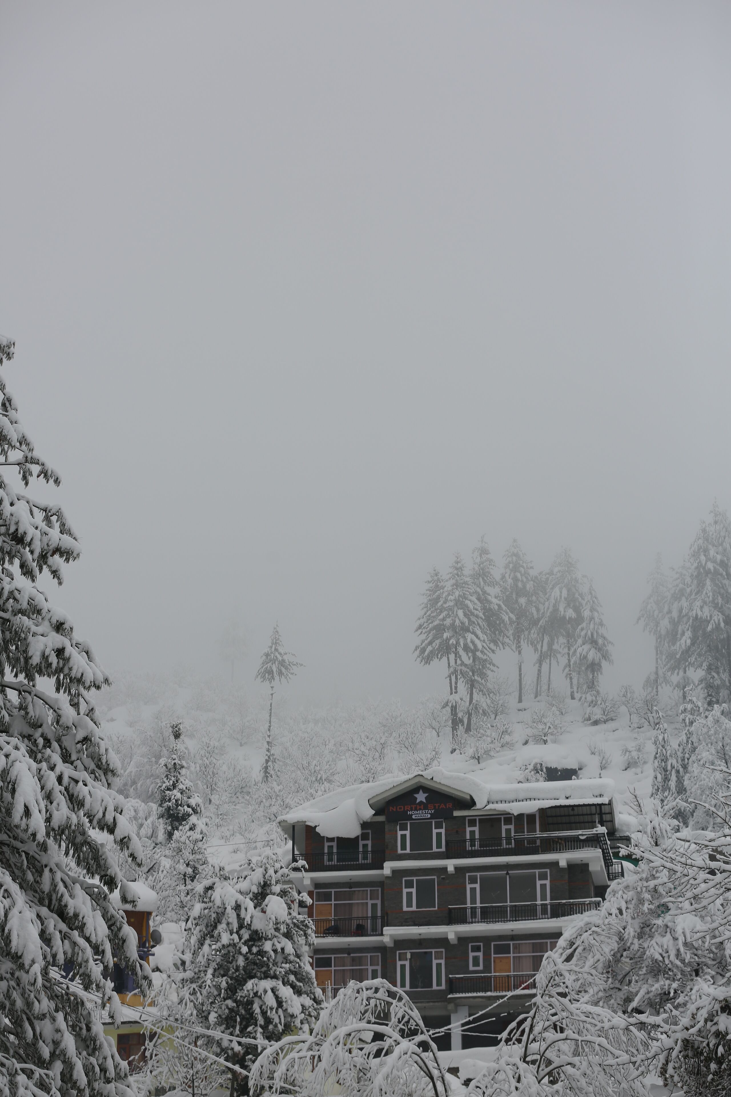 Enkeltrom – deluxe, fjellutsikt | Eksteriør
