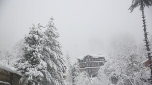 A building with multiple floors, surrounded by snow-covered trees. - North Star Manali (Manali)