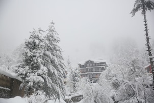 Deluxe Single Room, Mountain View | Exterior