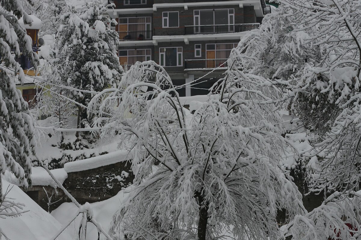 A multi-story building with snow-covered trees in the foreground.