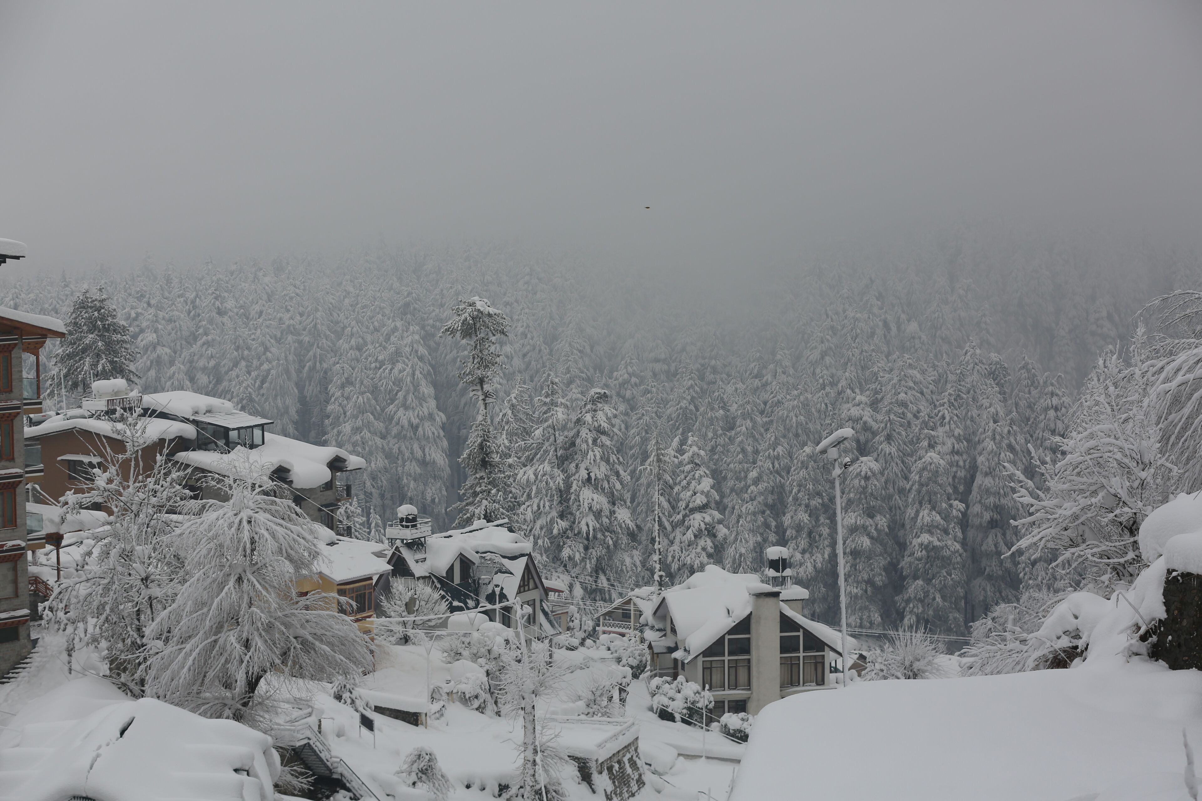 A snow-covered residential area with houses and trees, featuring a prominent building with a balcony and a street lamp.
