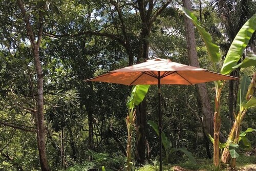 Cozy room in the heart of the rainforest, close to Playa Carrillo