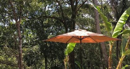 Cozy room in the heart of the rainforest, close to Playa Carrillo