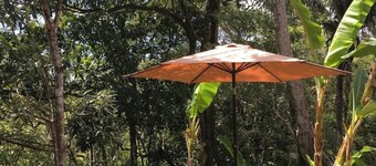 Cozy room in the heart of the rainforest, close to Playa Carrillo