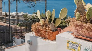 Une terrasse agrémentée de cactus en pot, une clôture en métal et une vue dégagée sur la mer.