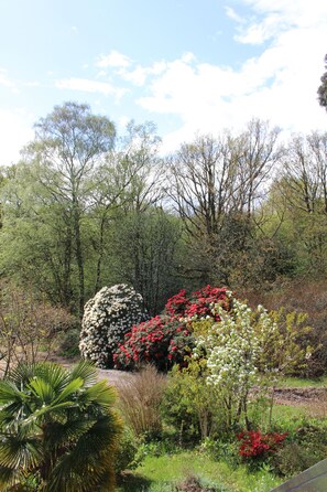 Oklassificerad bild, 3 av 32, knapp